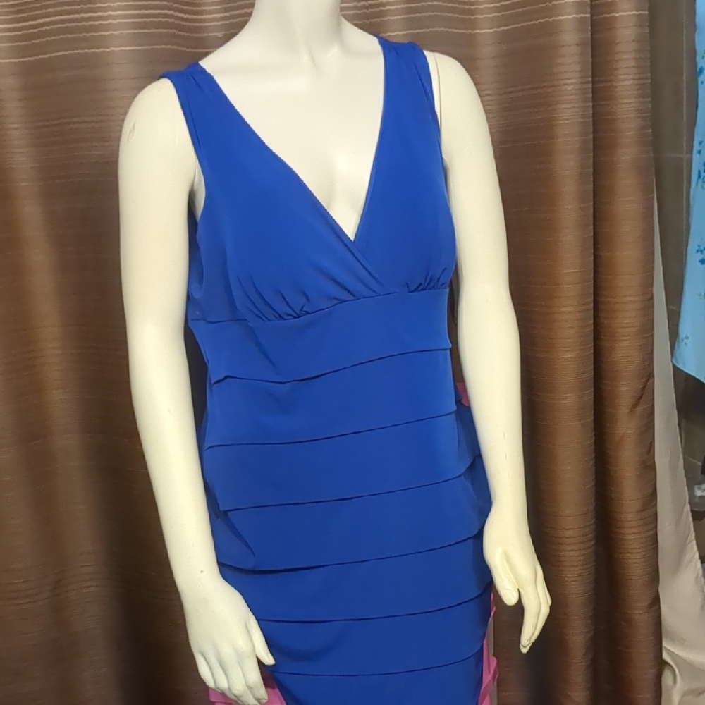 Enfocus Studio Royal Blue Dress Label Detail